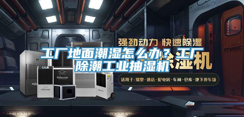 工廠地麵潮濕怎麽辦？工廠除潮工業抽濕機