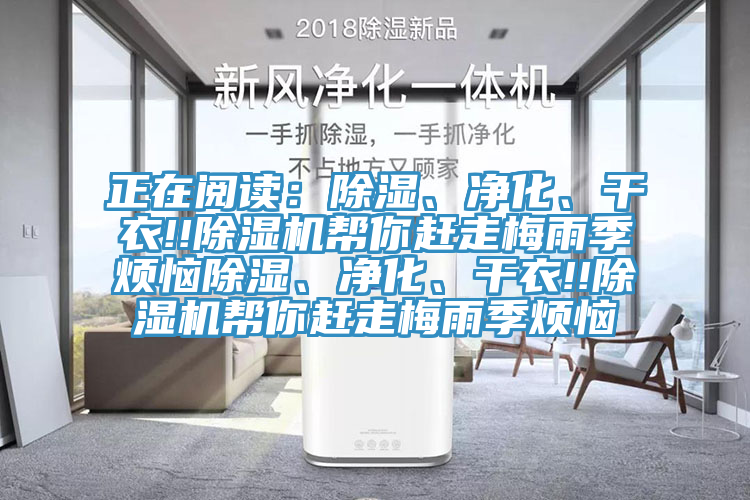 正在閱讀：除濕、淨化、幹衣!!草莓小视频黄色幫你趕走梅雨季煩惱除濕、淨化、幹衣!!草莓小视频黄色幫你趕走梅雨季煩惱