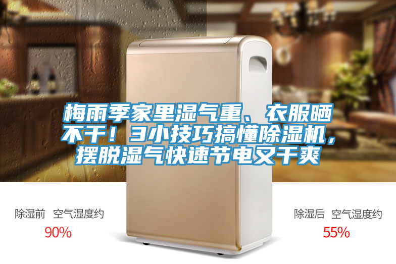 梅雨季家裏濕氣重、衣服曬不幹！3小技巧搞懂草莓小视频黄色，擺脫濕氣快速節電又幹爽