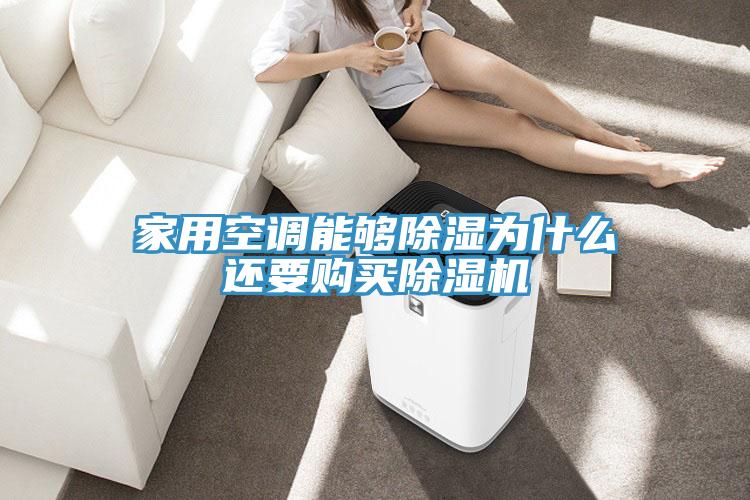 家用空調能夠除濕為什麽還要購買草莓小视频黄色