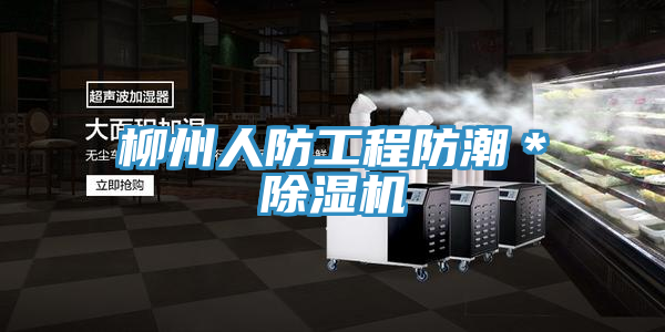 柳州人防工程防潮*草莓小视频黄色