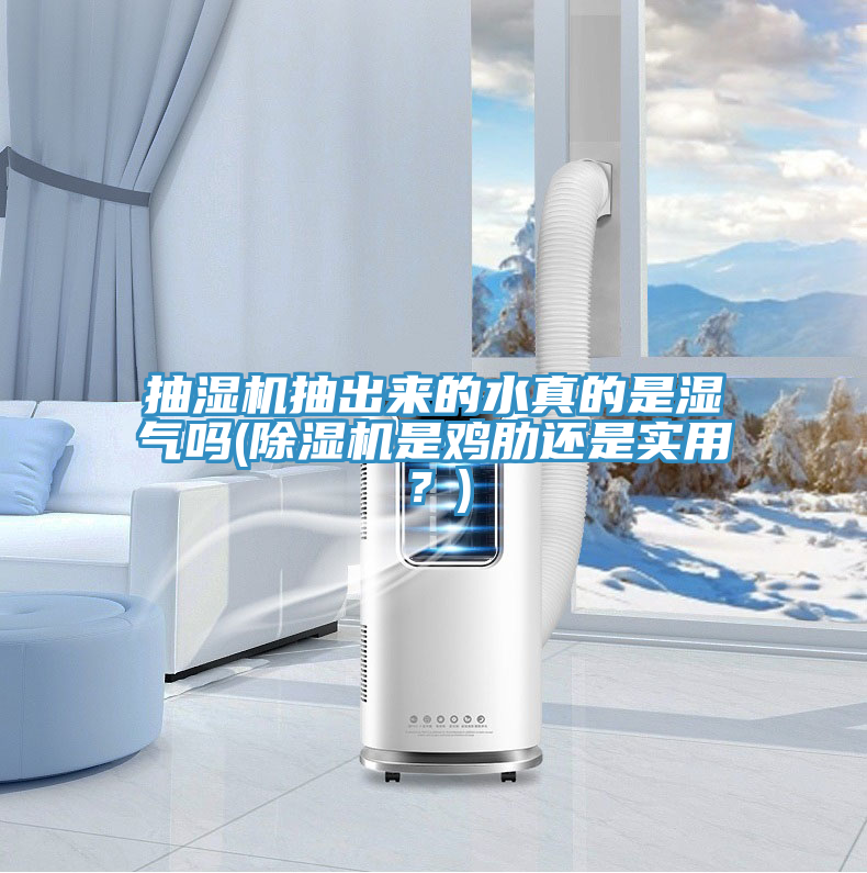 抽濕機抽出來的水真的是濕氣嗎(草莓小视频黄色是雞肋還是實用？)