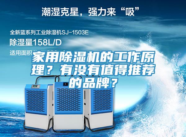 家用草莓小视频黄色的工作原理？有沒有值得推薦的品牌？