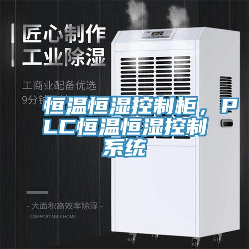 恒溫恒濕控製櫃，PLC恒溫恒濕控製係統