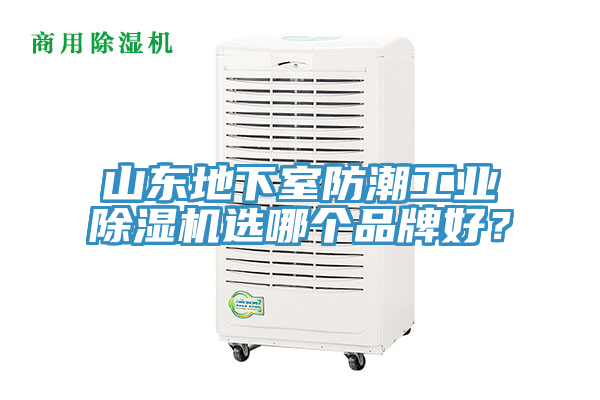 山東地下室防潮工業草莓小视频黄色選哪個品牌好？