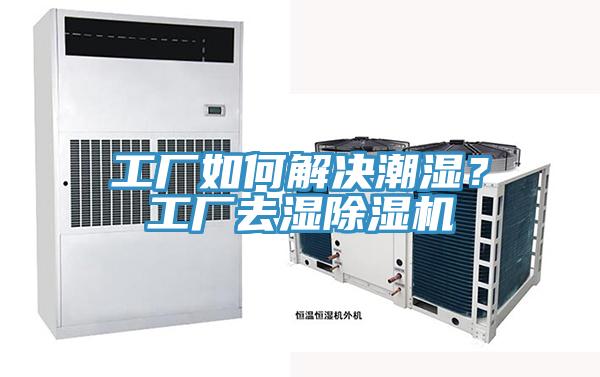 工廠如何解決潮濕？工廠去濕草莓小视频黄色