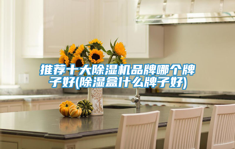 推薦十大草莓小视频黄色品牌哪個牌子好(除濕盒什麽牌子好)