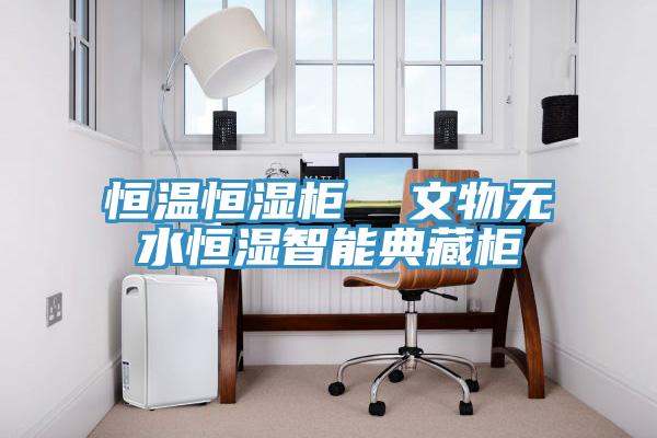 恒溫恒濕櫃 文物無水恒濕智能典藏櫃