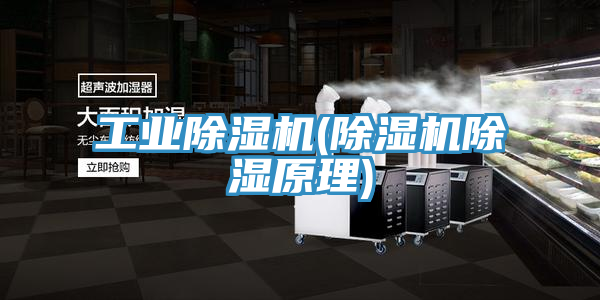 工業草莓小视频黄色(草莓小视频黄色除濕原理)