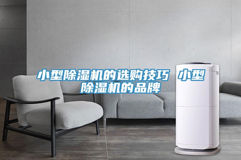 小型草莓小视频黄色的選購技巧 小型草莓小视频黄色的品牌