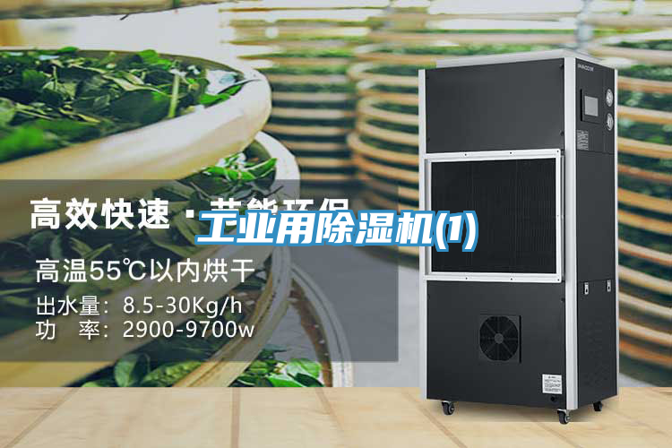 工業用草莓小视频黄色(1)