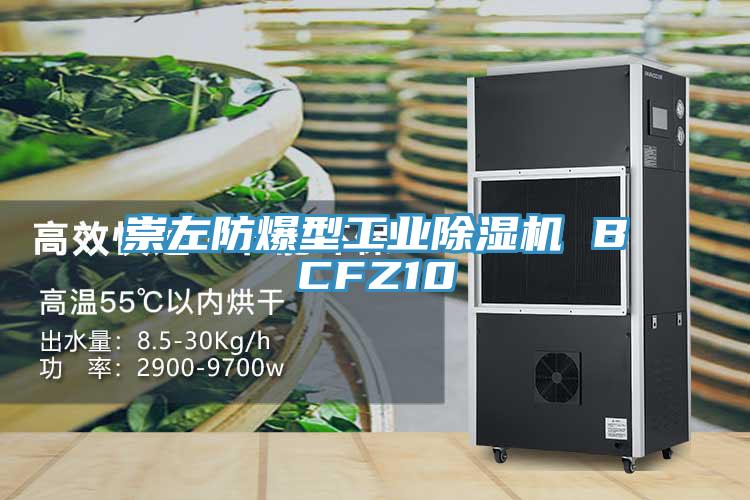 崇左防爆型工業草莓小视频黄色 BCFZ10