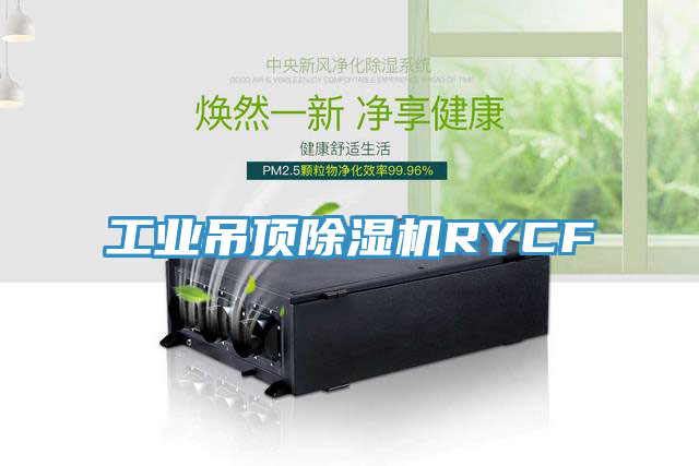 工業吊頂草莓小视频黄色RYCF