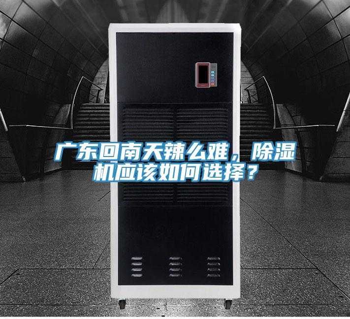 廣東回南天辣麽難，草莓小视频黄色應該如何選擇？