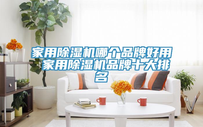 家用草莓小视频黄色哪個品牌好用 家用草莓小视频黄色品牌十大排名