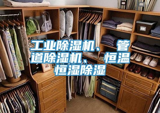 工業草莓小视频黄色、 管道草莓小视频黄色、 恒溫恒濕除濕