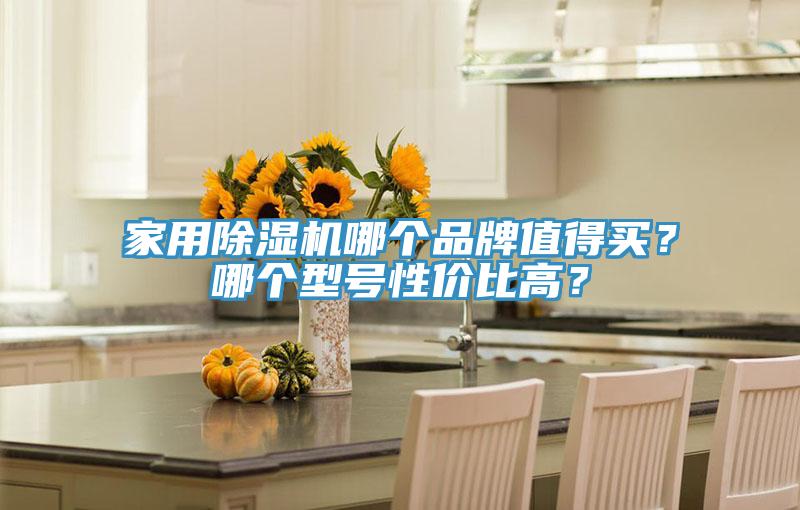 家用草莓小视频黄色哪個品牌值得買？哪個型號性價比高？