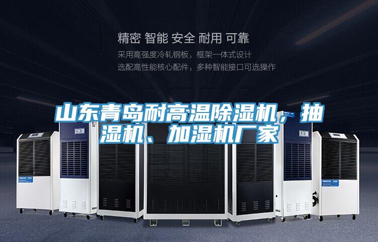 山東青島耐高溫草莓小视频黄色，抽濕機、加濕機廠家