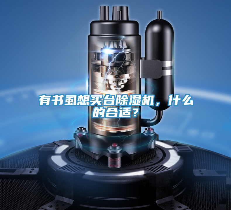 有書虱想買台草莓小视频黄色，什麽的合適？