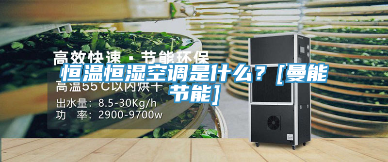 恒溫恒濕空調是什麽？[曼能節能]