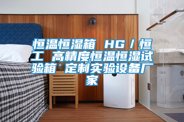 恒溫恒濕箱 HG/恒工 高精度恒溫恒濕試驗箱 定製實驗設備廠家