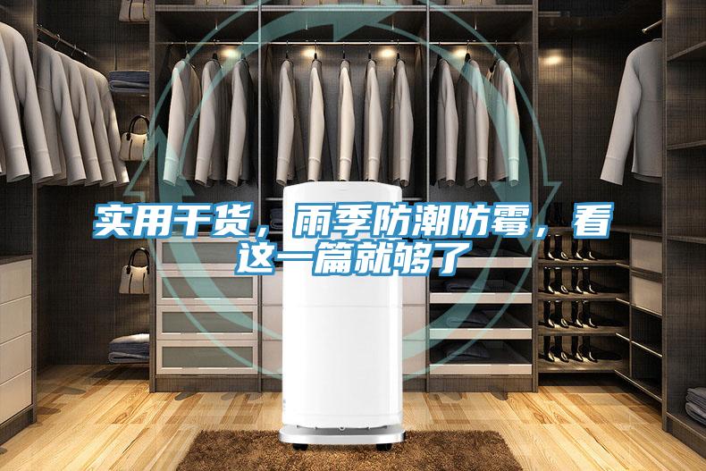 實用幹貨，雨季防潮防黴，看這一篇就夠了