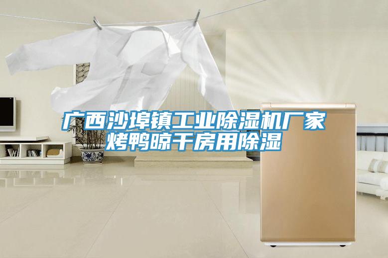 廣西沙埠鎮工業草莓小视频黄色廠家烤鴨晾幹房用除濕