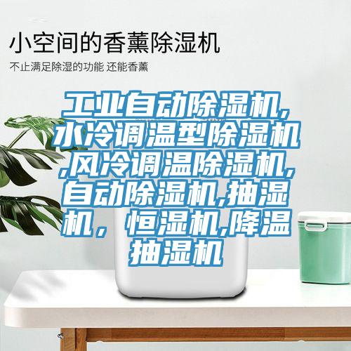 工業自動草莓小视频黄色,水冷調溫型草莓小视频黄色,風冷調溫草莓小视频黄色,自動草莓小视频黄色,抽濕機，恒濕機,降溫抽濕機