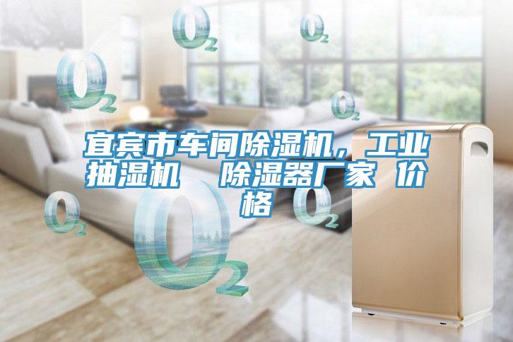 宜賓市車間草莓小视频黄色，工業抽濕機  除濕器廠家 價格