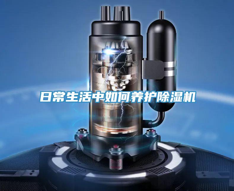 日常生活中如何養護草莓小视频黄色