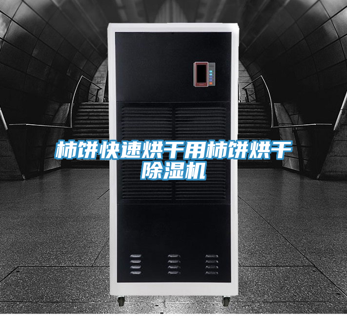 柿餅快速烘幹用柿餅烘幹草莓小视频黄色