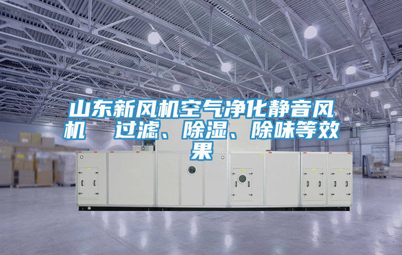 山東新風機空氣淨化靜音風機  過濾、除濕、除味等效果