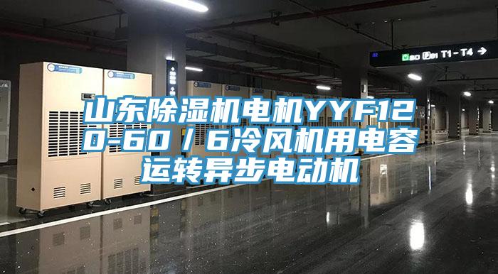山東草莓小视频黄色電機YYF120-60/6冷風機用電容運轉異步電動機