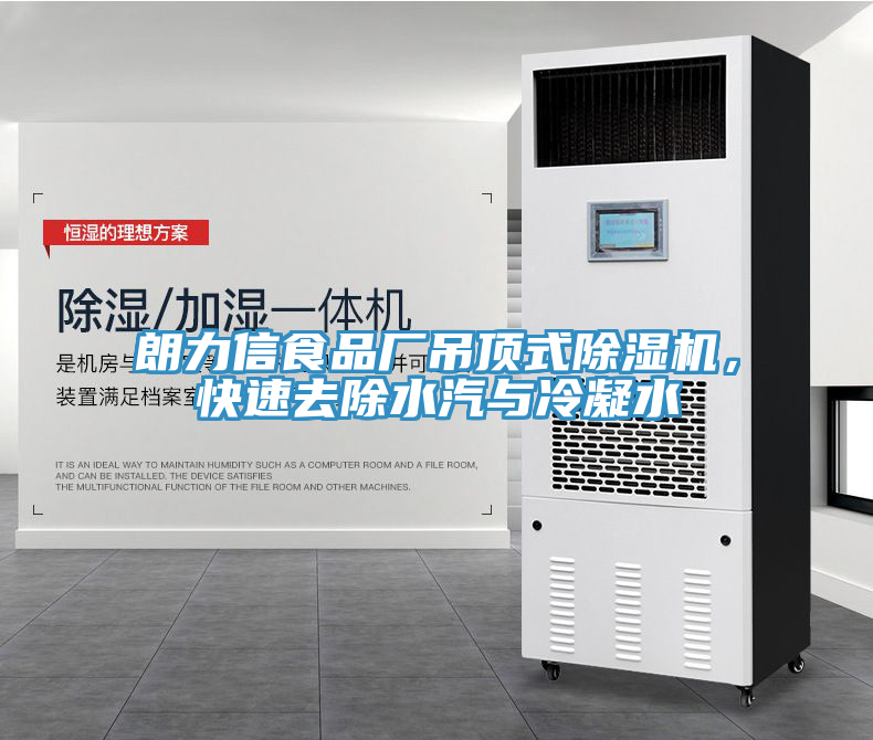 朗力信食品廠吊頂式草莓小视频黄色，快速去除水汽與冷凝水