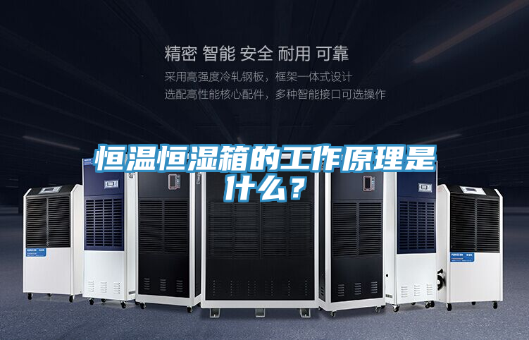 恒溫恒濕箱的工作原理是什麽？