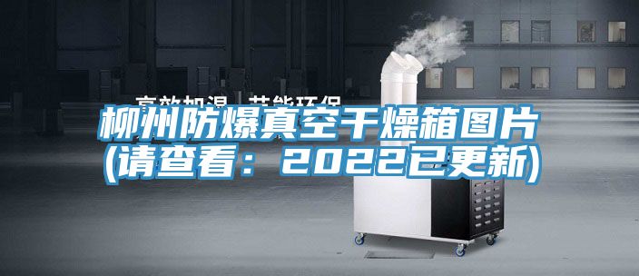 柳州防爆真空幹燥箱圖片(請查看：2022已更新)