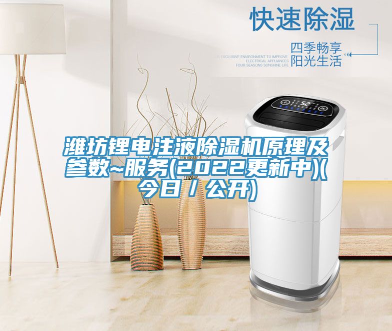 濰坊鋰電注液草莓小视频黄色原理及參數~服務(2022更新中)(今日/公開)