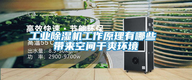 工業草莓小视频黄色工作原理有哪些 帶來空間幹爽環境