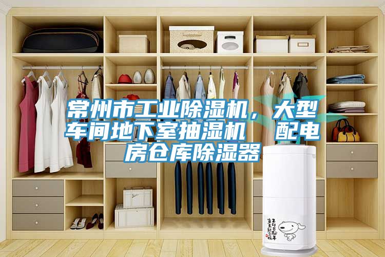 常州市工業草莓小视频黄色，大型車間地下室抽濕機  配電房倉庫除濕器