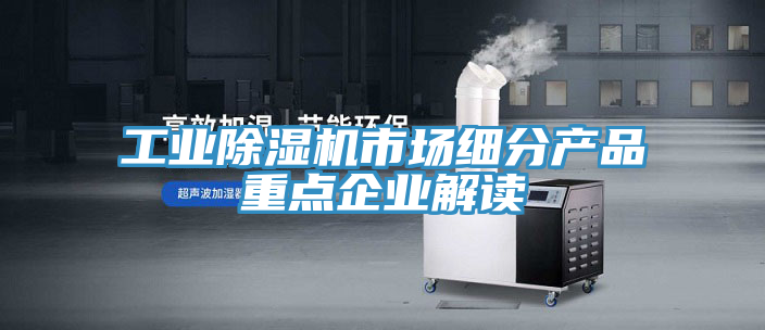 工業草莓小视频黄色市場細分產品重點企業解讀