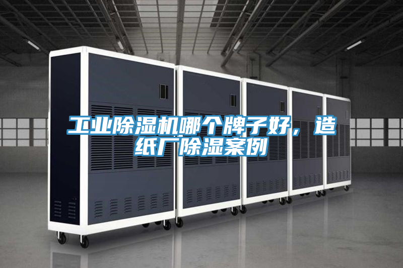 工業草莓小视频黄色哪個牌子好，造紙廠除濕案例