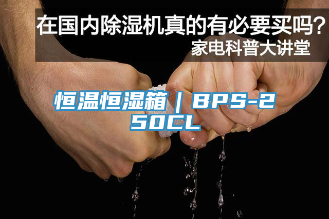 恒溫恒濕箱|BPS-250CL