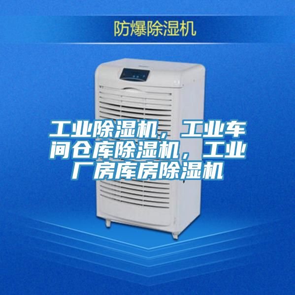 工業草莓小视频黄色，工業車間倉庫草莓小视频黄色，工業廠房庫房草莓小视频黄色