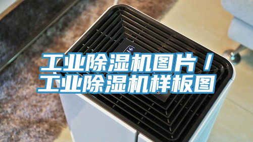 工業草莓小视频黄色圖片/工業草莓小视频黄色樣板圖