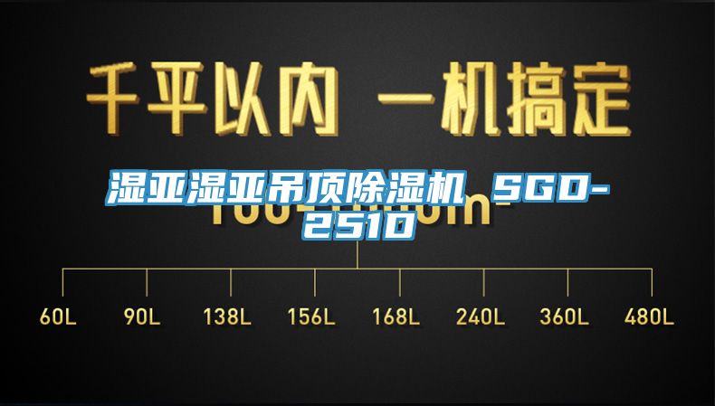濕亞濕亞吊頂草莓小视频黄色 SGD-251D