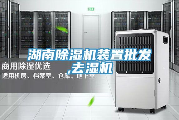 湖南草莓小视频黄色裝置批發,去濕機