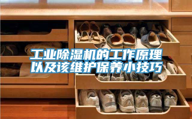 工業草莓小视频黄色的工作原理以及該維護保養小技巧