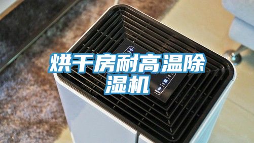 烘幹房耐高溫草莓小视频黄色