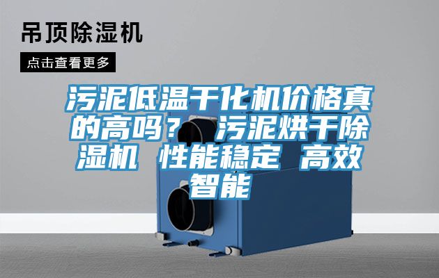 汙泥低溫幹化機價格真的高嗎？ 汙泥烘幹草莓小视频黄色 性能穩定 高效智能