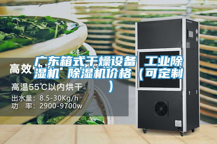 廣東箱式幹燥設備 工業草莓小视频黄色 草莓小视频黄色價格(可定製)